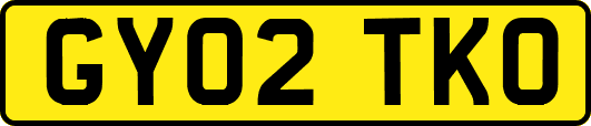 GY02TKO