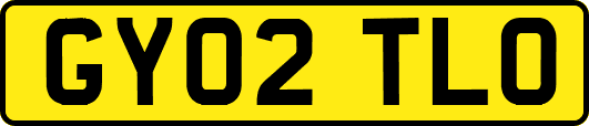 GY02TLO