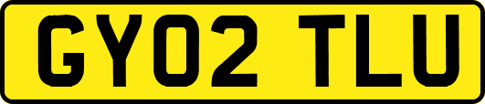 GY02TLU