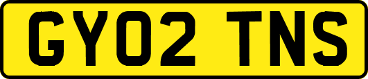 GY02TNS