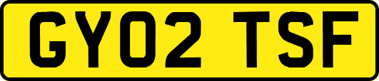 GY02TSF
