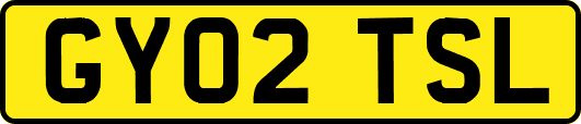GY02TSL