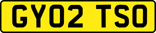 GY02TSO