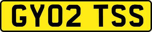 GY02TSS