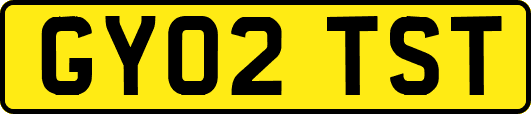 GY02TST