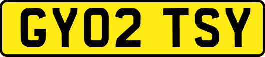 GY02TSY