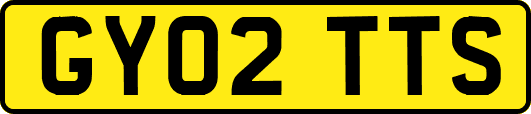 GY02TTS