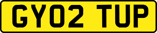 GY02TUP