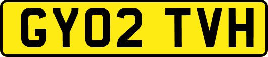 GY02TVH