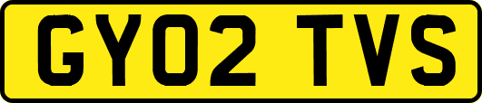 GY02TVS