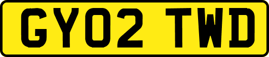 GY02TWD