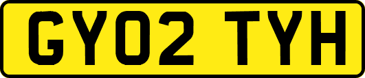 GY02TYH
