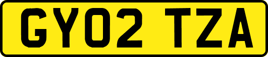 GY02TZA
