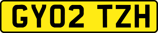 GY02TZH
