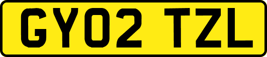 GY02TZL
