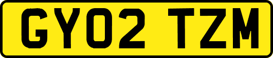GY02TZM