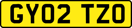 GY02TZO