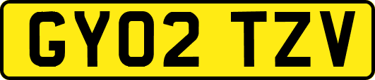 GY02TZV