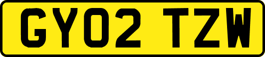 GY02TZW