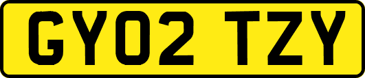 GY02TZY