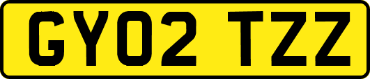 GY02TZZ
