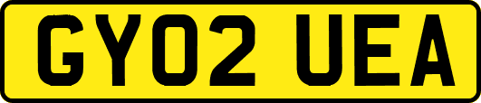 GY02UEA
