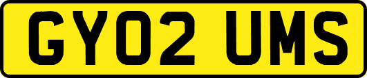 GY02UMS