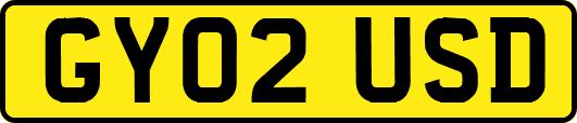 GY02USD