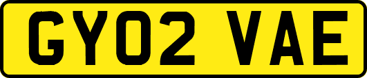 GY02VAE