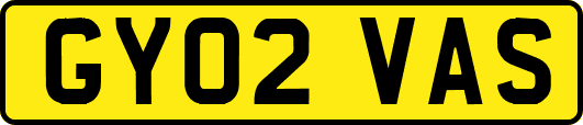 GY02VAS