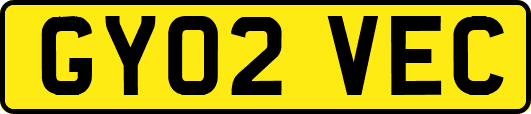 GY02VEC