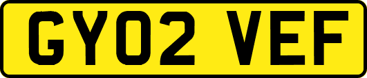 GY02VEF