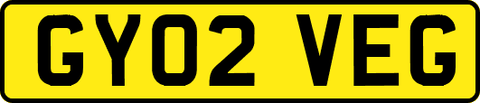 GY02VEG