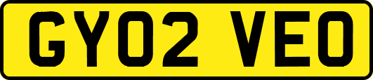 GY02VEO