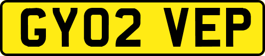 GY02VEP