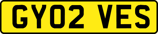 GY02VES