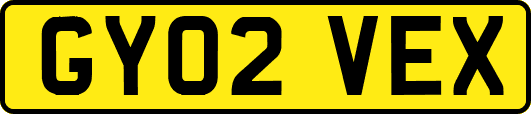 GY02VEX
