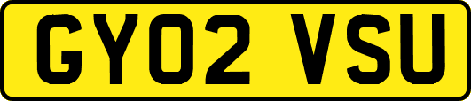 GY02VSU