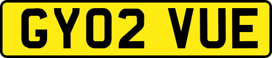 GY02VUE