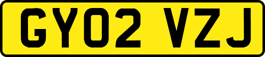 GY02VZJ
