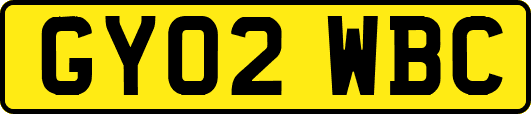 GY02WBC