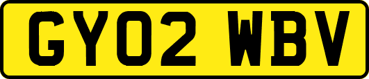 GY02WBV