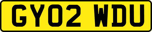 GY02WDU