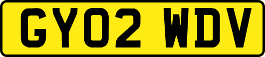GY02WDV
