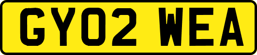 GY02WEA