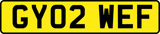 GY02WEF