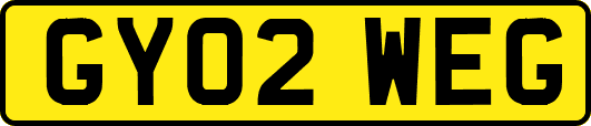 GY02WEG