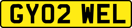 GY02WEL