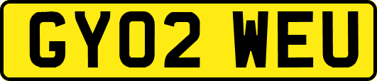 GY02WEU