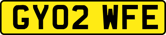 GY02WFE
